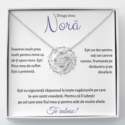 Pentru Nora si Mama Soacra